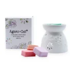Keramični talilnik za voščene kocke + 4 sojine dišeče kocke | Aladdin